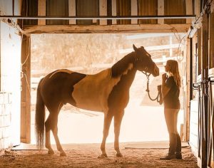 A Champion Heart – Um Coração Campeão