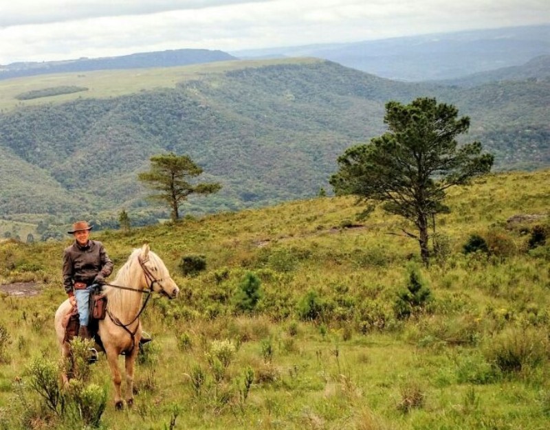 Cavalgada em Cavalos Marchadores Dando continuidade aos tipos de cavalgada, Paulo Junqueira escreve essa semana sobre as cavalgadas com cavalos marchadores