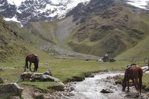 Cavalgada para Machu Picchu com equipe da EPTV/Globo