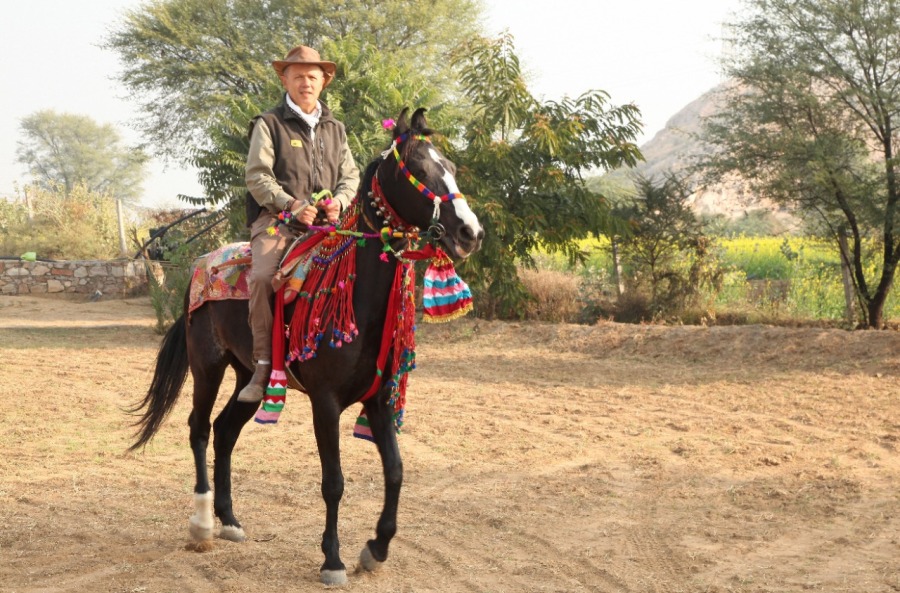 Cavalgadas e Tradições Equestres com Cavalos Marchadores Parte 2 Essa semana, Paulo Junqueira fala em sua coluna sobre as cavalgadas e das tradições equestres com cavalos marchadores da Ásia
