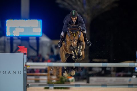 Concursos Internacionais de Salto voltam a agitar o cenário