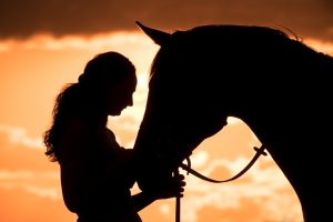 Personalidades do meio equestre declaram seu amor aos cavalos