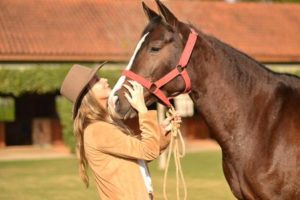 Diana Brooks expressa sua arte através da arquitetura equestre