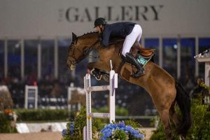 Internacional de Salto em Tryon tem Brasil em pista