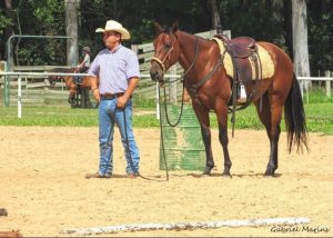 Master Class da doma até o cavalo adulto na UC