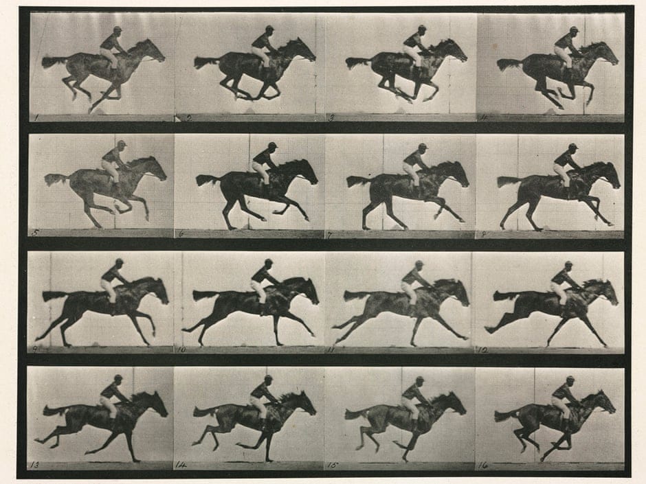 O galope pelas fotografias de Eadweard Muybridge