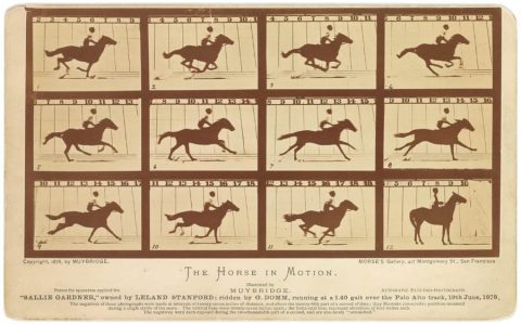 Galope pelas fotografias de Eadweard Muybridge