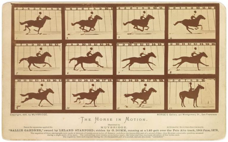 Galope pelas fotografias de Eadweard Muybridge