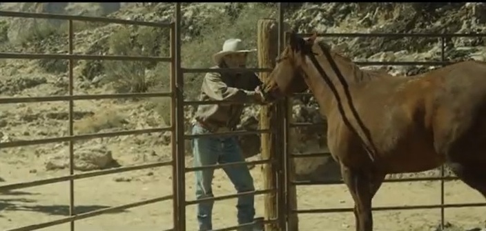 Out Of The Wild - Uma Nova Chance Deixar o passado para trás será a única coisa que salvará a vida de um cowboy Uma Nova Chance conta a história de Henry McBride