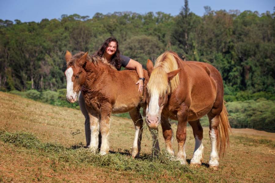 Susana Reinhardt fala da importância do cavalo em sua vida Zootecnista , Superintendente da ABCCBretão, Técnica de registro e juíza das raças Bretão e Percheron