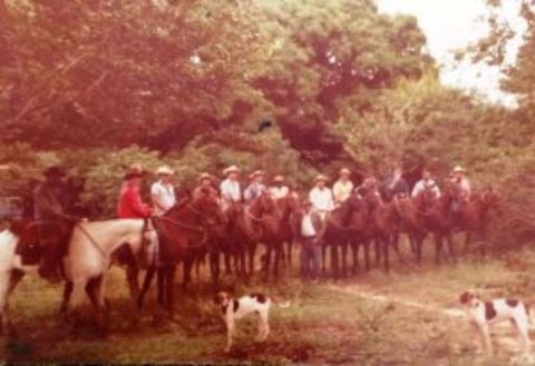 Top Marchador: a caçada ao veado que virou revolução