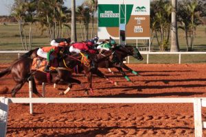 Zion Verde vence GP Presidente do Centro Hípico do Oeste