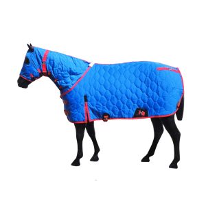 Entenda a importância do uso de capa para proteger os animais no inverno