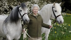 Rainha Elizabeth revela quais são seus cavalos favoritos