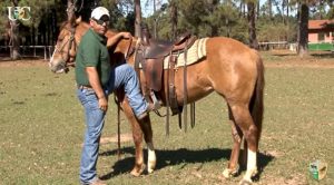 TV UC – A posição para montar no cavalo