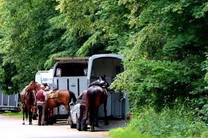 Bem-Estar Animal durante o transporte dos cavalos