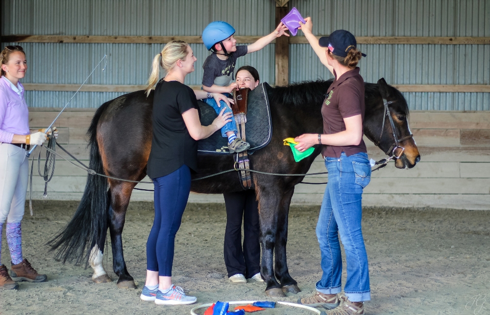 Benefícios da Equoterapia no tratamento de doenças equinas Os cavalos necessitam de uma boa alimentação para ter maior desempenho em diversos setores, como o seu uso ainda para o combate ao estresse e a depressão
