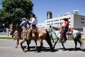 Cavaleiro das Américas relata sua chegada em Calgary a cavalo