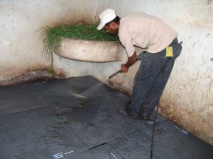 Criadores de cavalos falam sobre sua experiência com camas de borracha Vedovati