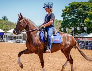 Dalva Marques conta como os cavalos são motivo de alegria e gratidão