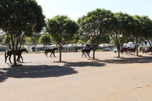 Rancho Mariana encara desafios na retomada de provas em meio à pandemia