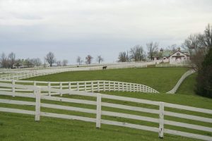 Qual é o tipo ideal de cerca para piquetes?