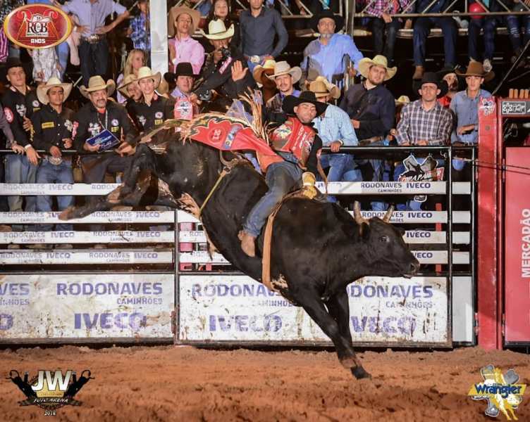 PULA BOI, PULA CAVALO: Country Bulls resgatará tradição das montarias em  cavalos