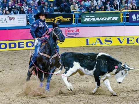 Rodada lucrativa para o brasileiro Junior Nogueira na PRCA