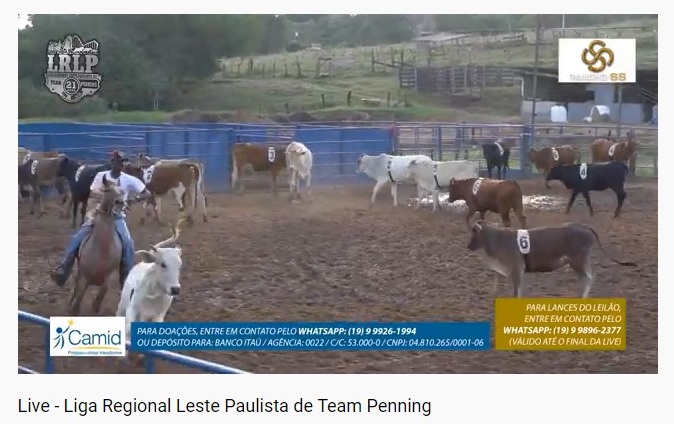 Team Penning realiza live em formato inédito. Evento foi promovido pela Liga Leste Paulista de Team Penning no começo de julho