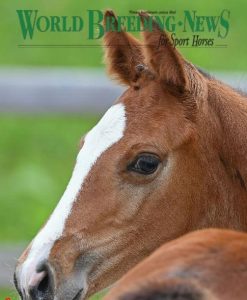 Cavalo Brasileiro de Hipismo é destaque em mídia internacional