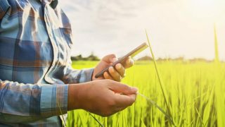 5G vai trazer US$ 77 bilhões para agricultura
