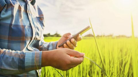 5G vai trazer US$ 77 bilhões para agricultura