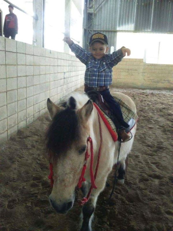 Juliana Oliveira conversa com você nesse artigo do portal Cavalus a respeito do bem que a convivência com o cavalo tem o ser humano
