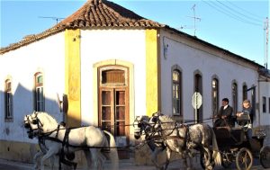 Cavalgada e Tradição em Portugal