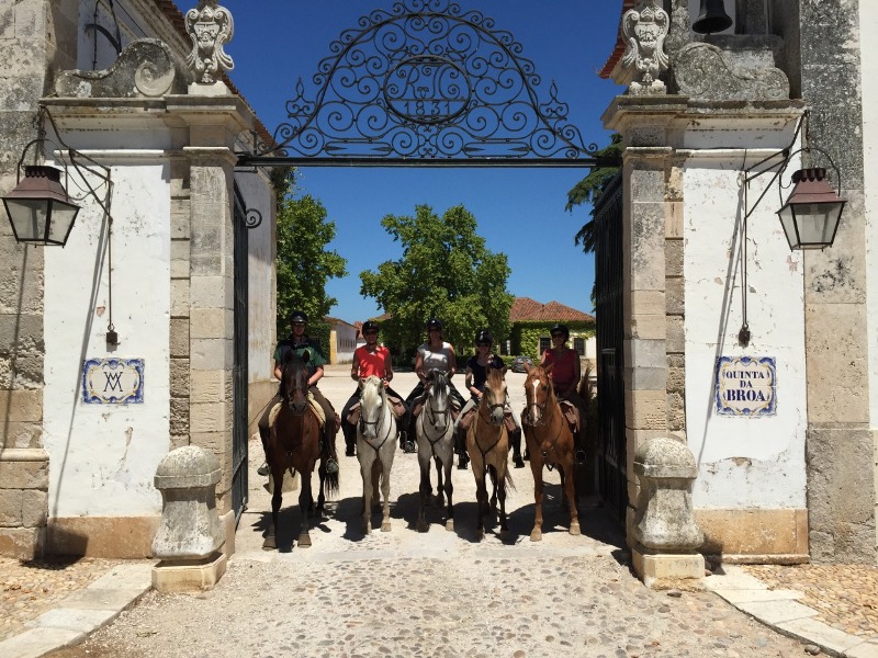 Paulo Junqueira Arantes conta em sua coluna da semana para o portal Cavalus sobre sua experiência em Portugal a cavalo