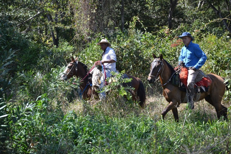 Paulo Junqueira conta em sua coluna da semana no portal Cavalus sobre a viagem que fez ao Pantanal de Cáceres após 4 meses em quarentena