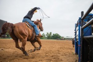 Dicas de Team Roping com Trevor Brazile