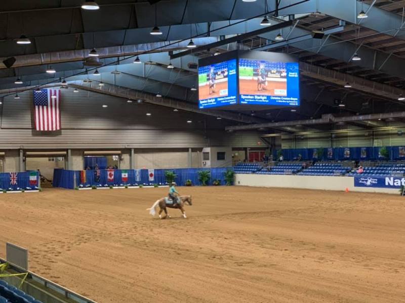 Brasileiro Eduardo Salgado venceu o Tamarack Ranch Developing Horse Futurity, nos níveis 3 e 2, montando Theoneyourelookinfor, em Tulsa