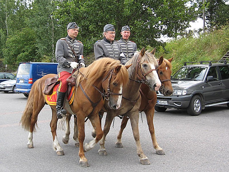 O Finnhorse é uma raça natural e única da Finlândia e ainda são animais considerados de ‘sangue frio’, rápidos e versáteis!