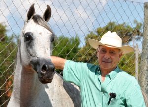 Jairo Queiroz fala sobre o fascínio pela pureza racial do cavalo Árabe