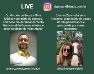 Live aborda “A essência dos cavalos: como compreendê-los e deixá-los equilibrados”