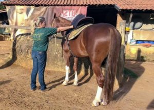 Maneira certa de colocar a sela