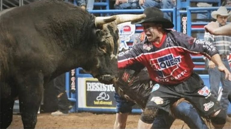 Rob Smets é um dos mais populares salva-vidas - Cavalus