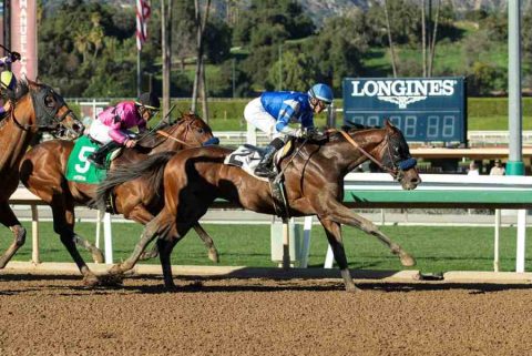 Inspiração para os nomes dos cavalos do Kentucky Derby 2020