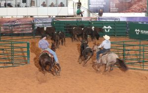 ABQM: Ranch Sorting e Team Penning batem recorde de inscrições