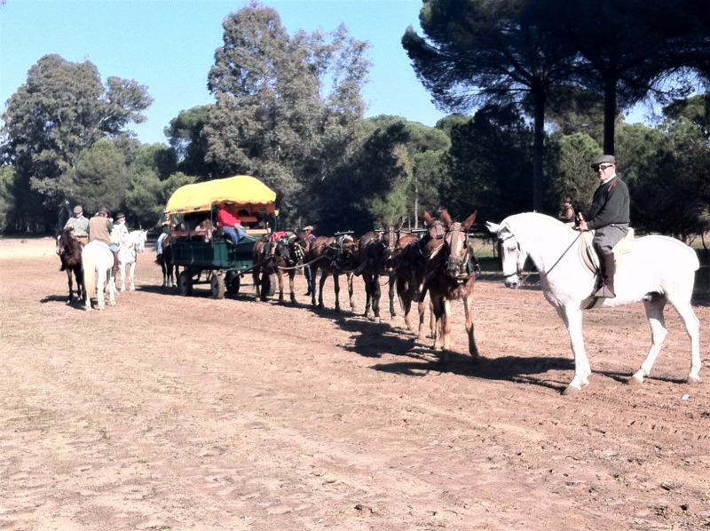As Tradições Equestres mostram as fascinantes histórias que existem pos trás da cavalgada. Hoje destaco dois eventos tradicionais na Espanha 