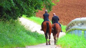 Dicas para uma cavalgada segura e prazerosa