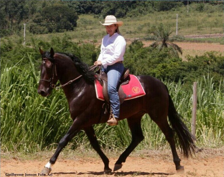 Dalva Marques fornece nesse artigo para o portal Cavalus regras simples para uma cavalgada relaxante, divertida e sem aborrecimentos