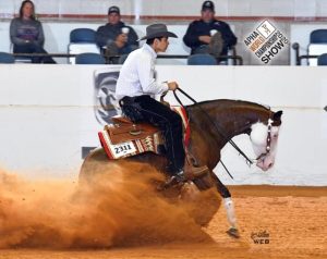 Treinador brasileiro sobe ao pódio do APHA World Show 2020