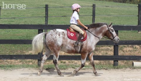 Como encontrar o primeiro cavalo de uma criança